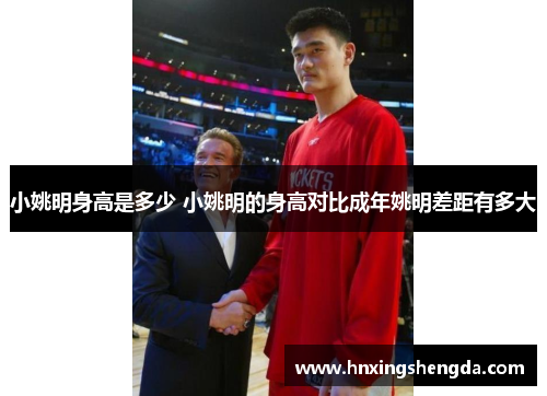小姚明身高是多少 小姚明的身高对比成年姚明差距有多大