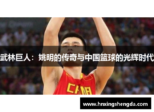 武林巨人：姚明的传奇与中国篮球的光辉时代