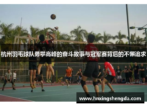 杭州羽毛球队勇攀高峰的奋斗故事与冠军赛背后的不懈追求