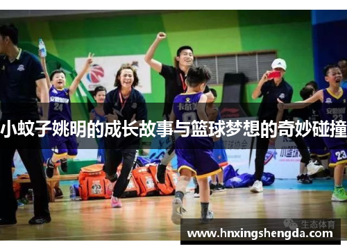 小蚊子姚明的成长故事与篮球梦想的奇妙碰撞